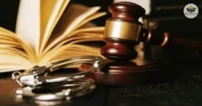 diretrizes do direito penal