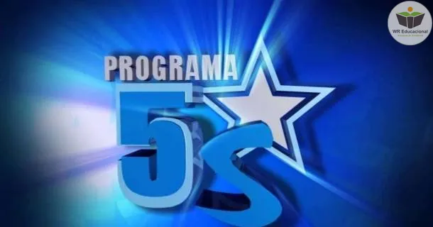 Curso de Programa 5S