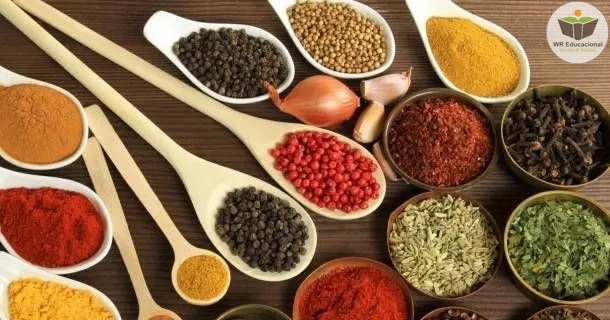 Curso de educação a distância de Temperos e Condimentos