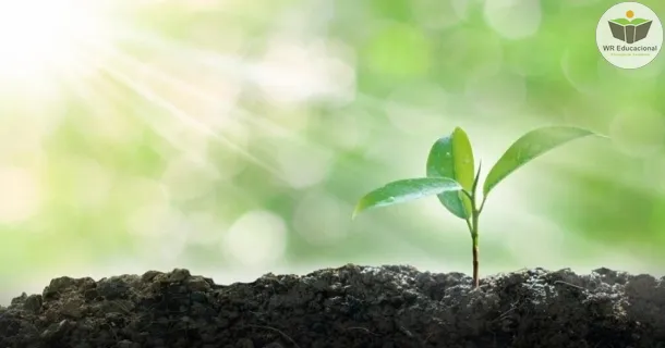 Curso de LICENCIAMENTO E FISCALIZAÇÃO NA LEGISLAÇÃO AMBIENTAL