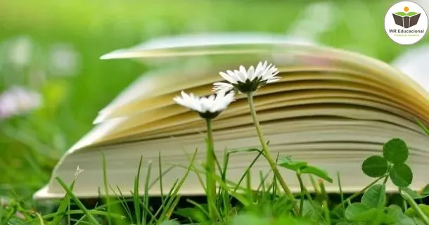 Curso Noções Básicas da Educação Ambiental