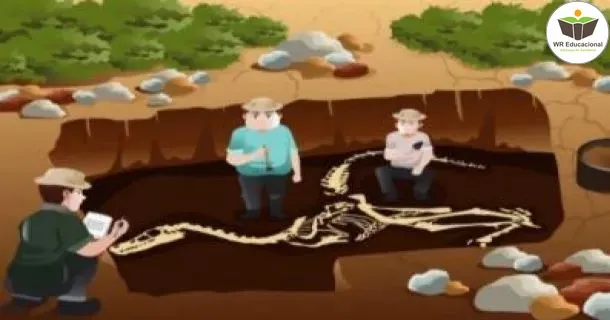 Curso de Introdução em Arqueologia