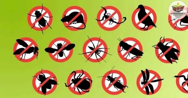 Curso de Dedetização