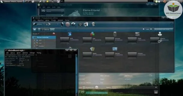 Curso de educação a distância de Linux como Desktop