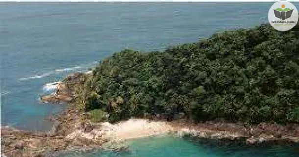 Curso de educação a distância de Introdução à Biogeografia 