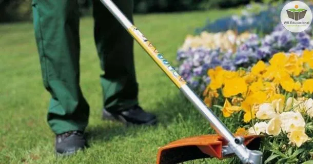 Curso de educação a distância de Jardinagem e Paisagismo