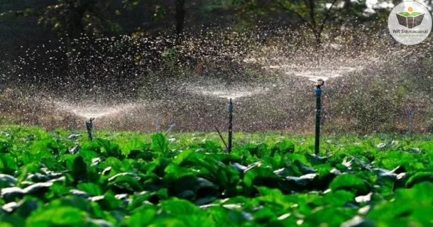 Curso de Métodos Artificiais de propagação, local de cultivo e plantio das mudas no jardim