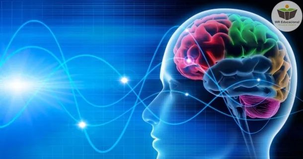 Curso Noções Básicas em Neurociência e sua influência na Psicanálise