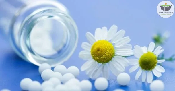 Curso de educação a distância de Noções Básicas em Homeopatia II