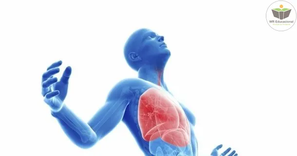 Curso de educação a distância de Princípios Básicos em Cinesioterapia