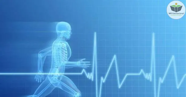 Curso de educação a distância de Princípios Básicos da Fisiologia Geral