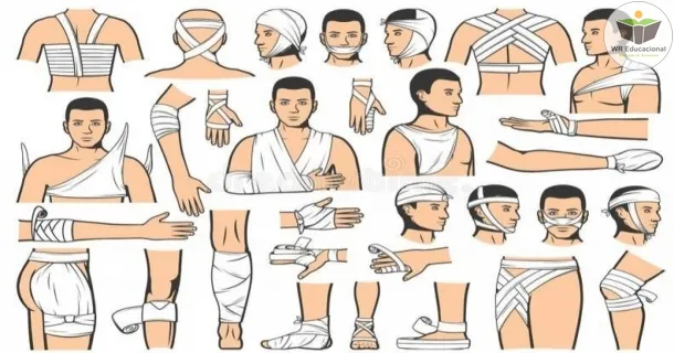 Curso de Introdução à Emergências Traumáticas