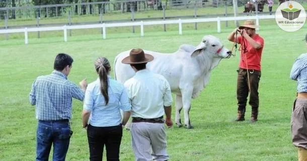 Curso de Auxiliar em Agropecuária